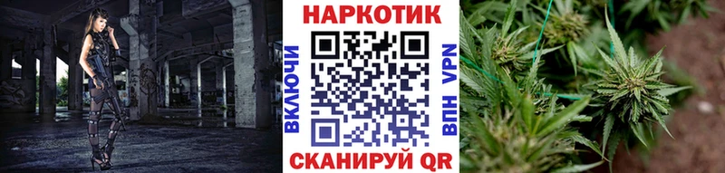 Как найти закладки Цоци-Юрт Конопля ТГК Альфа ПВП ГАШИШ КОКАИН